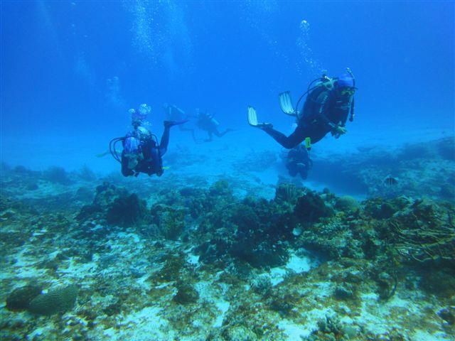  Diving with friends 